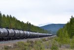 CP 9774/9711 leading a unit tank car train W/B, past Castle Mtn and east of Morant's Curve.